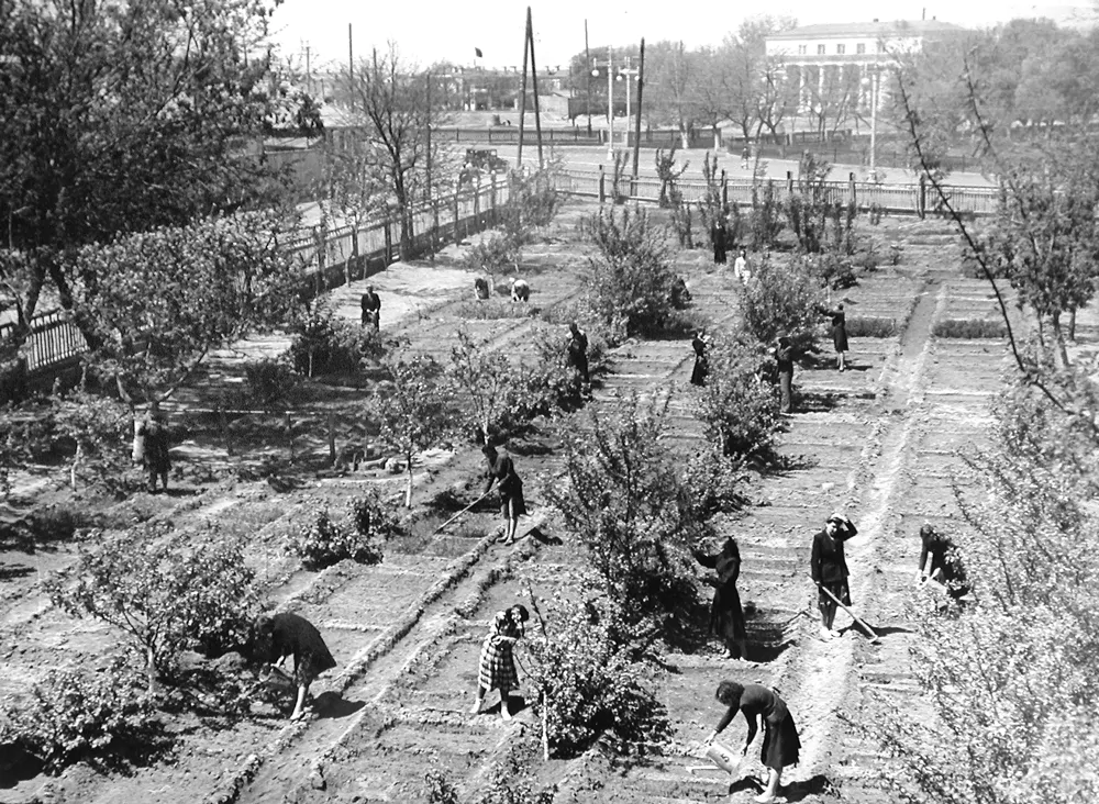 Учебно-опытный участок института 1950-е гг.